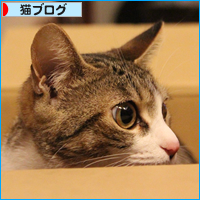 箱へのこだわり_a0389088_18053595.jpg
