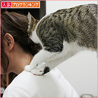 猫が織りなすエトセトラ_a0389088_18054983.jpg