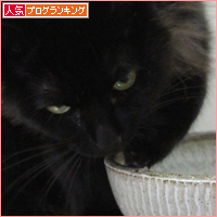 手が凍っても_a0389088_18055177.jpg