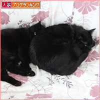 どうか気づきませんように・・・_a0389088_18055275.jpg