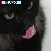 手が凍っても_a0389088_18055284.jpg