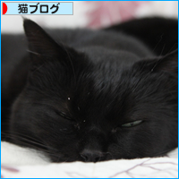 どうか気づきませんように・・・_a0389088_18055359.jpg