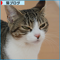 こころの手術_a0389088_18055509.jpg