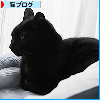 いろんな変化_a0389088_18055825.jpg