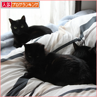 いろんな変化_a0389088_18055869.jpg