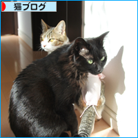 ひだまり争奪戦_a0389088_18060055.jpg