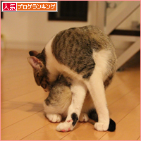 抜糸しました!_a0389088_18060759.jpg