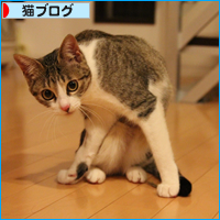 抜糸しました!_a0389088_18060763.jpg