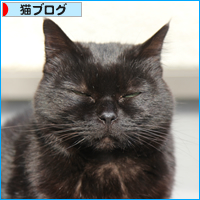 黒猫クイズ_a0389088_18061239.jpg