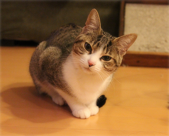 しあわせということ_a0389088_18063027.jpg