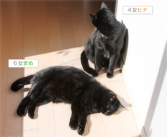 待ってたのに・・・_a0389088_18063091.jpg