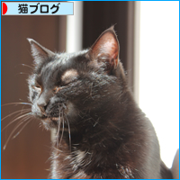 待ってたのに・・・_a0389088_18063147.jpg