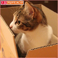 マグ猫_a0389088_18063959.jpg