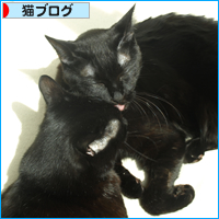 ビーの日_a0389088_18064730.jpg