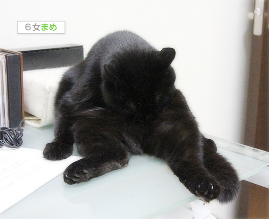 あと一歩_a0389088_18072813.jpg