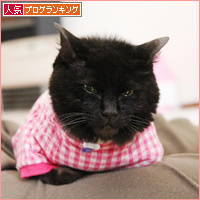 みつきの一周忌_a0389088_18074870.jpg