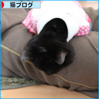 みつきの一周忌_a0389088_18074890.jpg