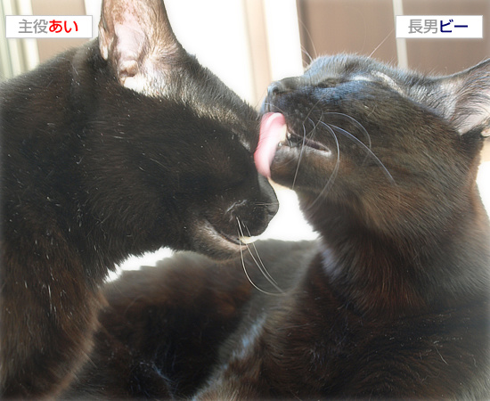 七夕に会いたい_a0389088_18075616.jpg