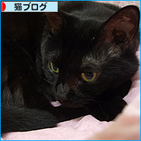 七夕に会いたい_a0389088_18075710.jpg