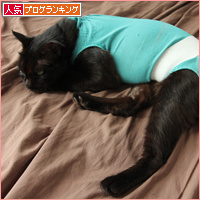 誰が犯人?_a0389088_18083706.jpg