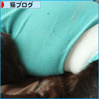 誰が犯人?_a0389088_18083875.jpg