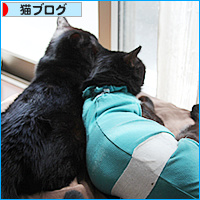 秋がきて・・・_a0389088_18084032.jpg