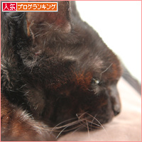 秋がきて・・・_a0389088_18084058.jpg