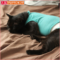 もしゃの手術_a0389088_18084216.jpg