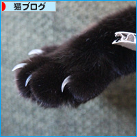 真夜中の居場所_a0389088_18084467.jpg