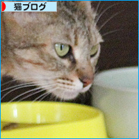 カツオ祭り_a0389088_18084866.jpg