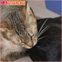 野良の絆_a0389088_18084867.jpg