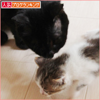 お母さんがいない時は・・・_a0389088_18084953.jpg