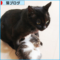 お母さんがいない時は・・・_a0389088_18084973.jpg
