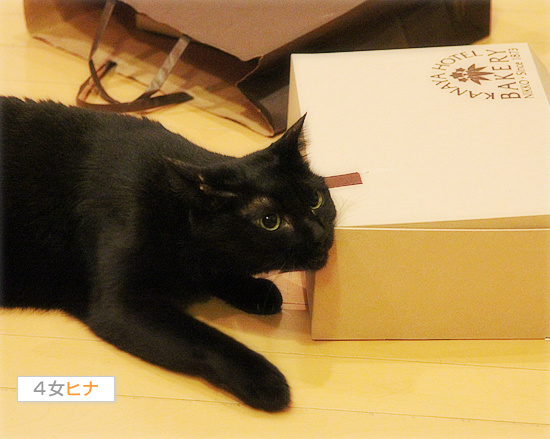ただいま!_a0389088_18085004.jpg