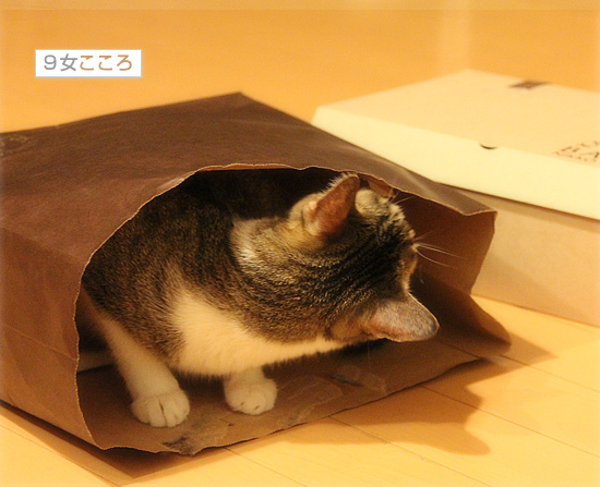 ただいま!_a0389088_18085036.jpg