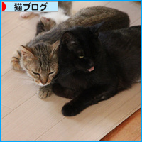 気が付けば家族_a0389088_18085115.jpg