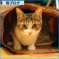 ただいま!_a0389088_18085131.jpg