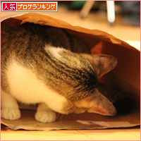 ただいま!_a0389088_18085156.jpg
