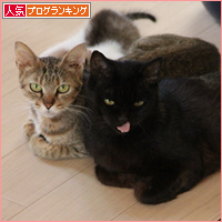 気が付けば家族_a0389088_18085199.jpg