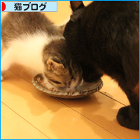 はじめての離乳!_a0389088_18085228.jpg