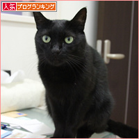 こっちもくっついてます_a0389088_18085318.jpg