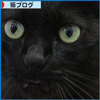 こっちもくっついてます_a0389088_18085353.jpg