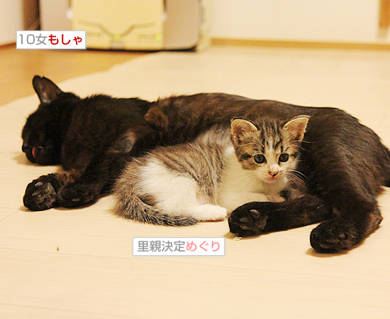 母も時には・・・_a0389088_18085389.jpg
