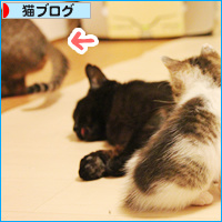 母も時には・・・_a0389088_18085433.jpg