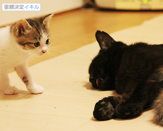 母も時には・・・_a0389088_18085446.jpg