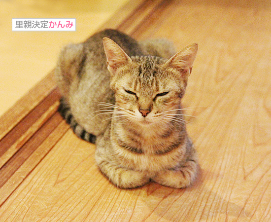 母も時には・・・_a0389088_18085456.jpg
