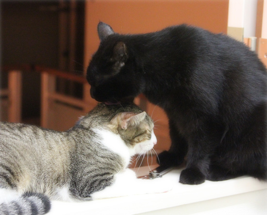 そこじゃない!_a0389088_18085557.jpg