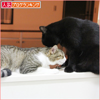そこじゃない!_a0389088_18085572.jpg