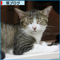 そこじゃない!_a0389088_18085594.jpg