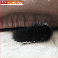 おにぎり山_a0389088_18085632.jpg